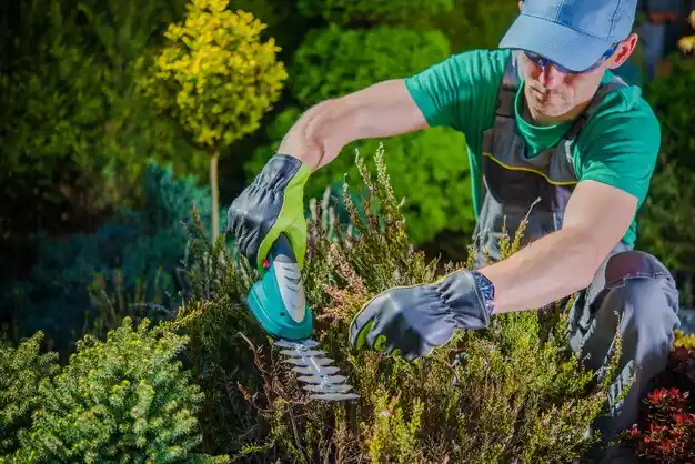 landscaping services Viburnum